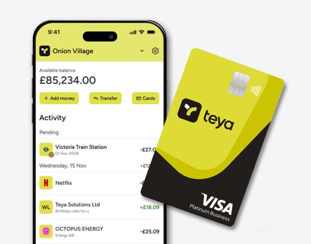 Teya business account features